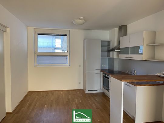 PROVISIONSFREI – Wohnungen sofort bezugsfertig – WG-geeignet! Mit Balkon, Terrasse, Loggia! - Foto 1