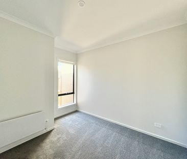 Brand New Comfort & Style in Charlemont - Photo 3