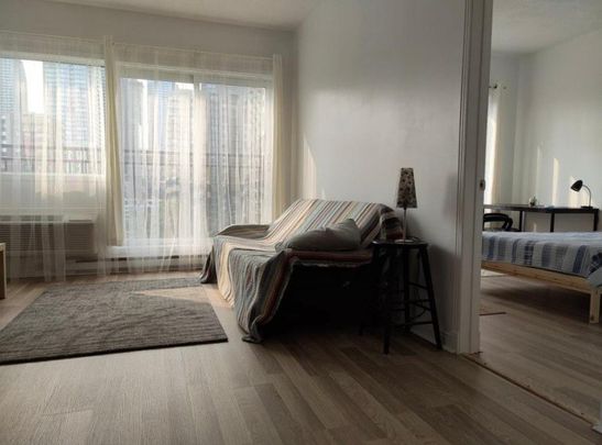 Appartement à louer - Montréal (Ville-Marie) (Centre) - Photo 1