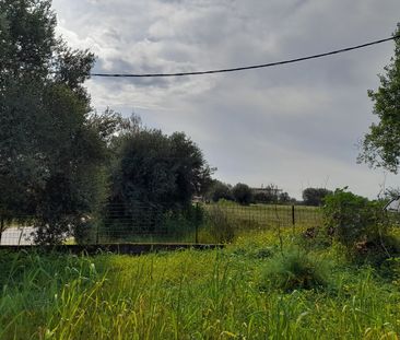 Μονοκατοικία για ενοικίαση Μαυρομμάτι (Μεσσήνη) - Φωτογραφία 6
