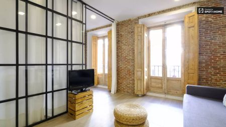 Lovely 1-bedroom apartment for rent in Chueca - Photo 4