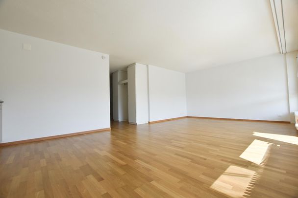 Helle 4.5-Zimmer-Parterrewohnung mit sonnigem Sitzplatz - Photo 1
