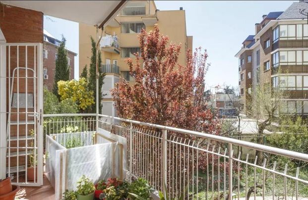 Habitación - Madrid - Bernabéu-Hispanoamérica - 690€ MES - Ref. RYN-HATJ3 - Foto 1