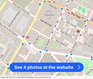 GRIFFITOWN | PROJET ARBORA | 5ME ÉTAGE | 2 CHAMBRES À COUCHER - Photo 1