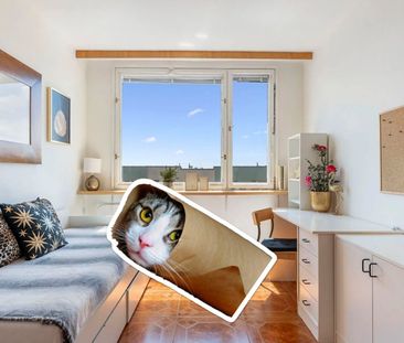 Pronájem bytu 3+1 • 88 m² bez realitkyChalabalova, Praha - Stodůlky - Photo 2