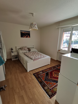 Gemütliche Wohnung in Altstetten - Photo 1