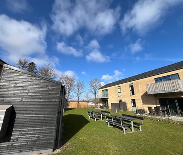 ✨ Lys 2 og 3-værelses lejlighed med altan til leje i attraktivt omr... - Photo 2