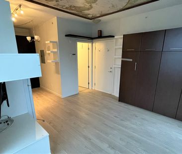 Bachelor Suite For Rent In Surrey/ Pets Allowed. - Photo 2