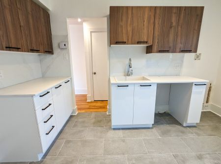 10653 Rue de Lille Montréal (Ahuntsic-Cartierville), QC H2B - Photo 4