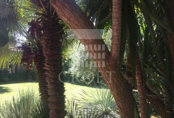 Cortina d'Ampezzo - Independent Villa with big garden. Rif. #2245.