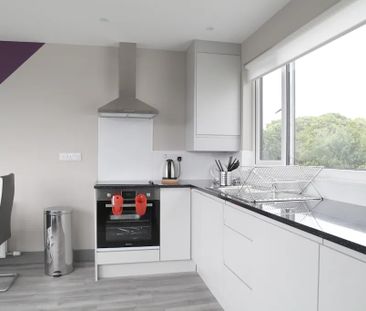 The Rise, Dublin - Photo 5