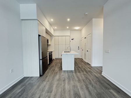 Friday Harbour Resort: Brand New 1 Bed, 1 Bath Main Floor Condo in the New High Point Building - Photo 5