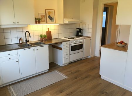 Avesta Hede: Tvåa i markplan - Photo 3