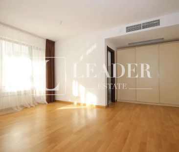 Inchiriere apartament cu gradina I Kiseleff - Aviatorilor - Fotografie 3