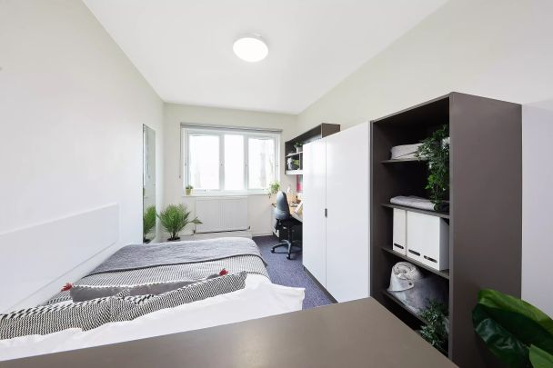Self Contained Studio - Photo 1