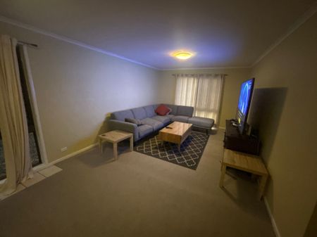 Petrie - Photo 2