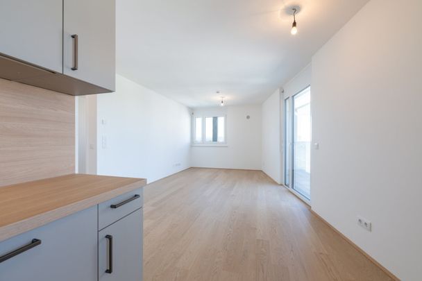 3 ZIMMER-ERSTBEZUG nahe ALTE DONAU - Fernblick im 7. Stock - Foto 1