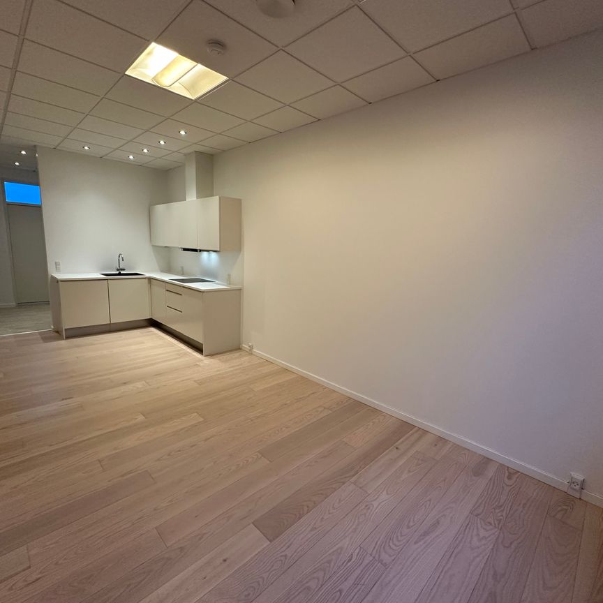 Central placering med stor tagterrasse - Photo 1