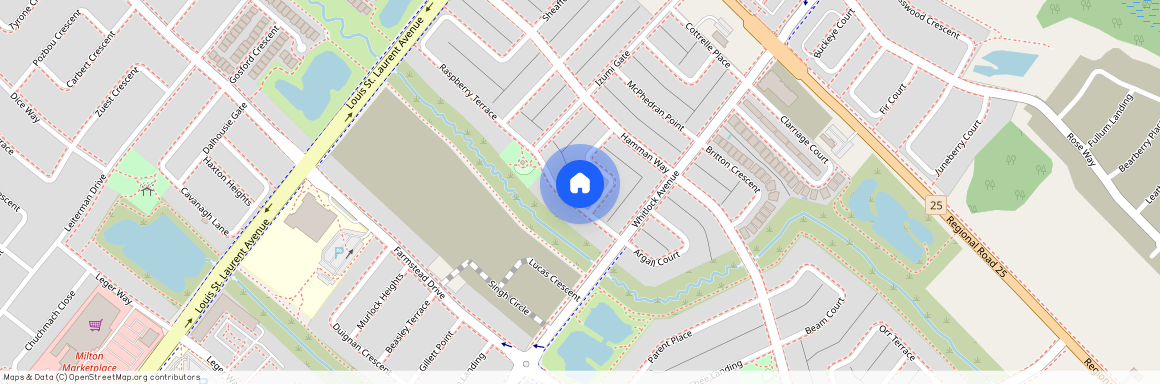 1313 Raspberry Terrace Unit# Basement, Milton