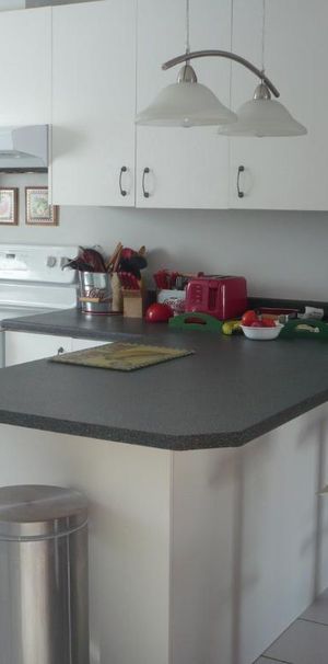 Grand 4½ Rue de Lery style condo Disponible Immediatement - Photo 1