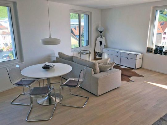 Moderne 2.5-Zimmerwohnung in Balgach - Foto 1