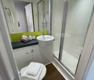 Deluxe Studio - Photo 4