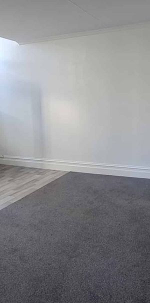 *Recently Renovated In Highfield* - Photo 1