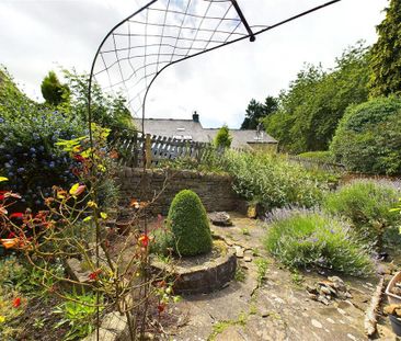 3 bedroom apartment to rent - Photo 5