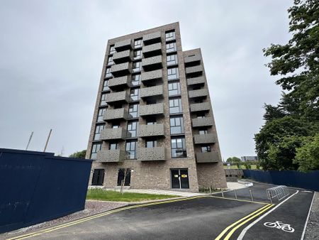 Studio to rent - Photo 4