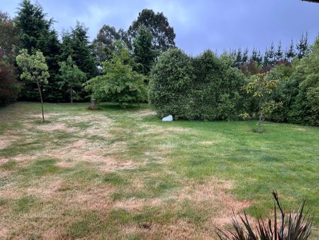 Garden Setting - Photo 5