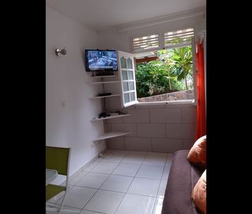 Location Appartement 1 pièce 15m² - Photo 3