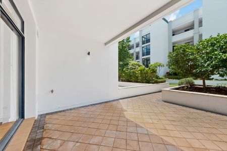 Prestigious Princeton Apartments in Subiaco - Photo 4