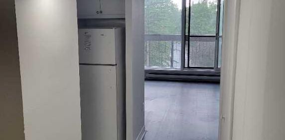 Très Bel Appartement Studio à Louer - Une Personne - Boulevard des Sources - DDO; Aussi 3 1/2, 4 1/2 - Photo 2