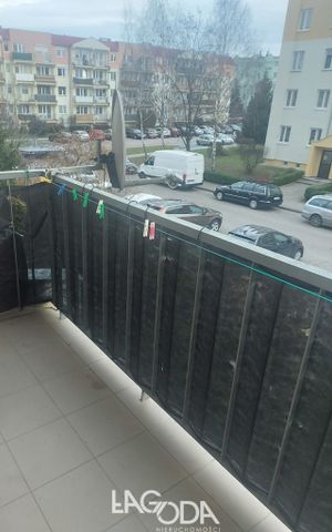 Gorzów Wielkopolski - Zdjęcie 4