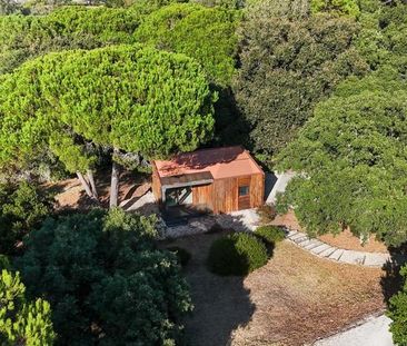 Apartamento T1 em Lisboa - Photo 3