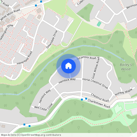 Common Alder Way, Manchester