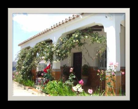 Delightful detached villa with pool and covered exterior kitchen in Frigiliana for winter rental - Photo 5