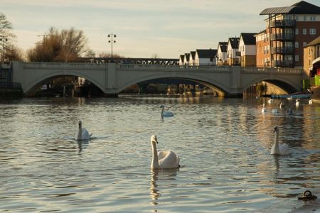 Clifton House PE1 - Photo 4