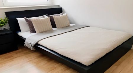 Deluxe Studio - Photo 2