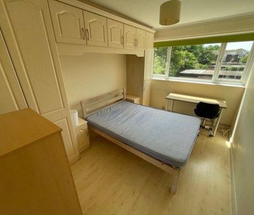 4 bedroom house share to rent - Photo 5