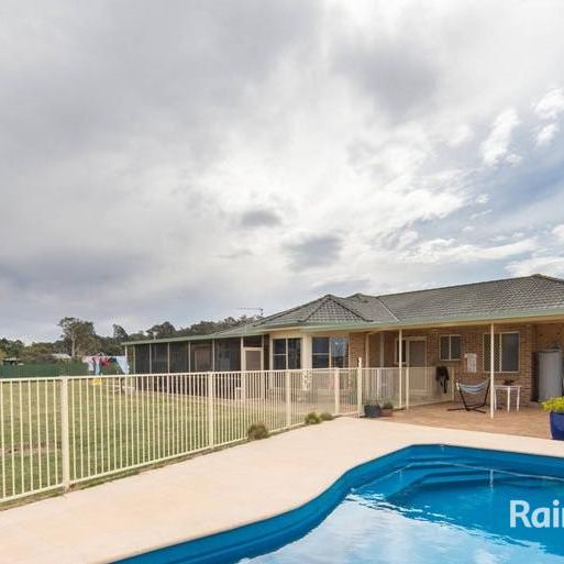 343 Cabbage Tree Road, Williamtown, NSW 2318 - Photo 1