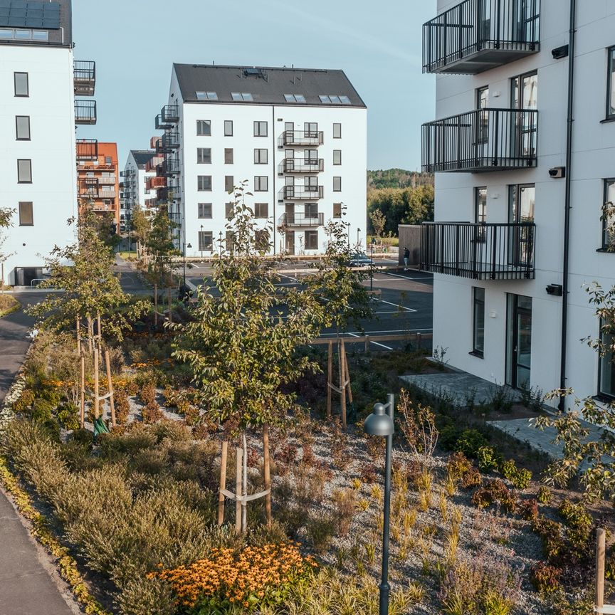 Kiselgatan 65 - Photo 1