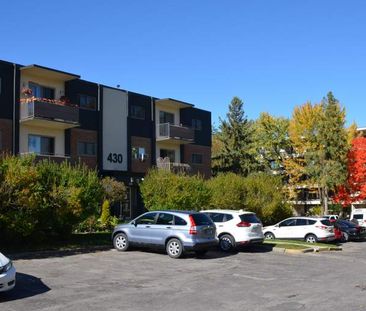 Springbank Gardens - Photo 5