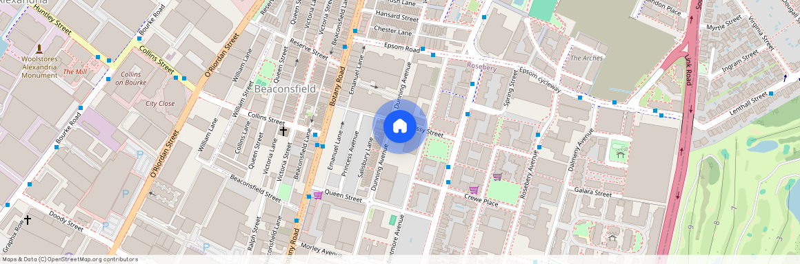 302/29 Dunning Avenue, NSW 2018, Rosebery