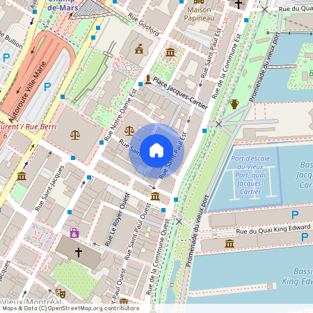 415 Rue St-Gabriel, app.204, Montréal (Ville-Marie) (Vieux-Montréal), H2Y 3A1