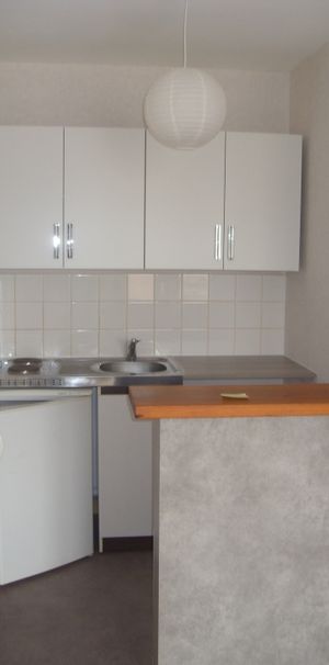 Location Appartement 1 pièce 29m² RENNES 35000 - Photo 1