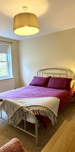 1 bedroom in a house share to rent - Photo 1