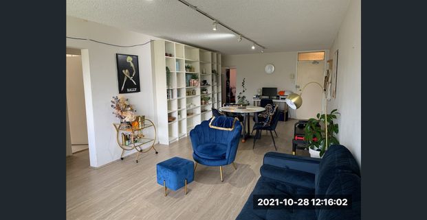 Recently Renovated Peaceful 3 bedder with Bush Views - Photo 1