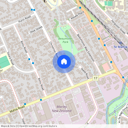 13 Christmas Road, Manurewa, Manukau City