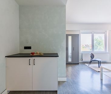 Gerenoveerde studentenkamers & studio’s - Photo 4